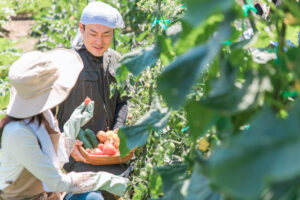 タイトルが入ります。タイトルが入ります。タイトルが入ります。